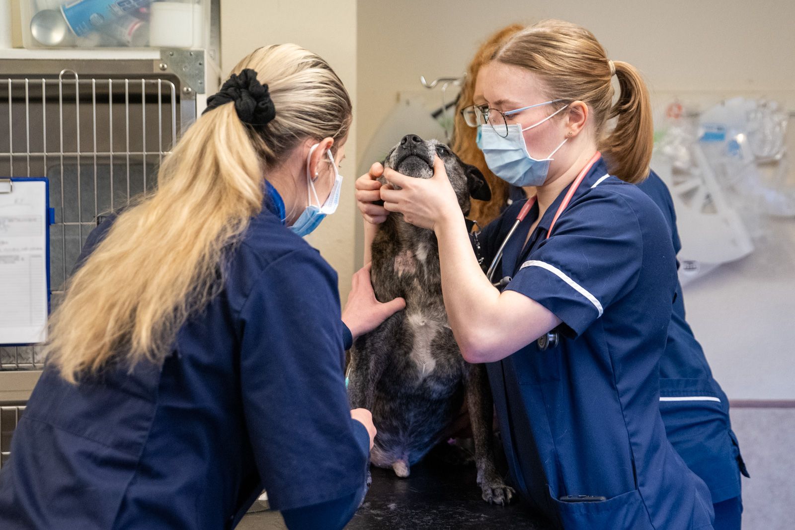 nurses with dog